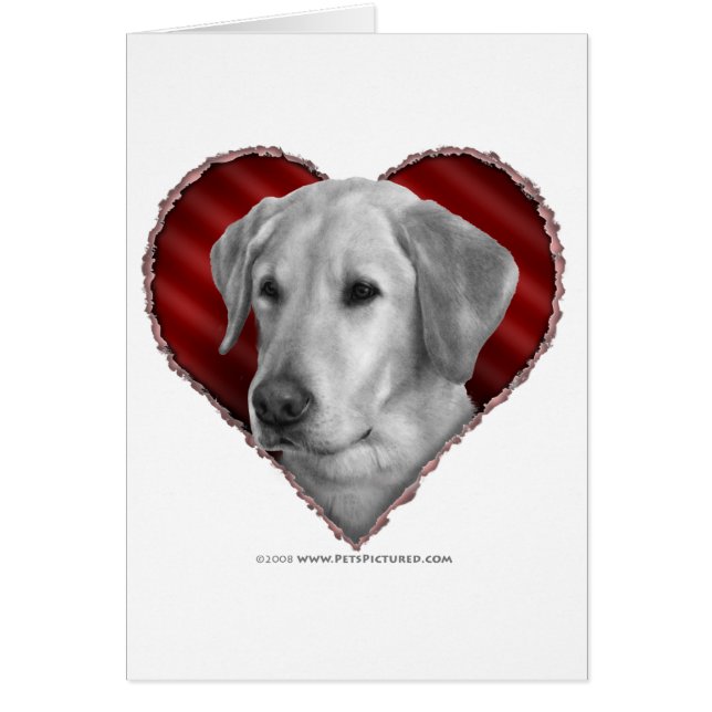 Yellow Lab with Heart (Front)