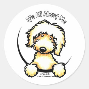Yellow Labradoodle IAAM Classic Round Sticker