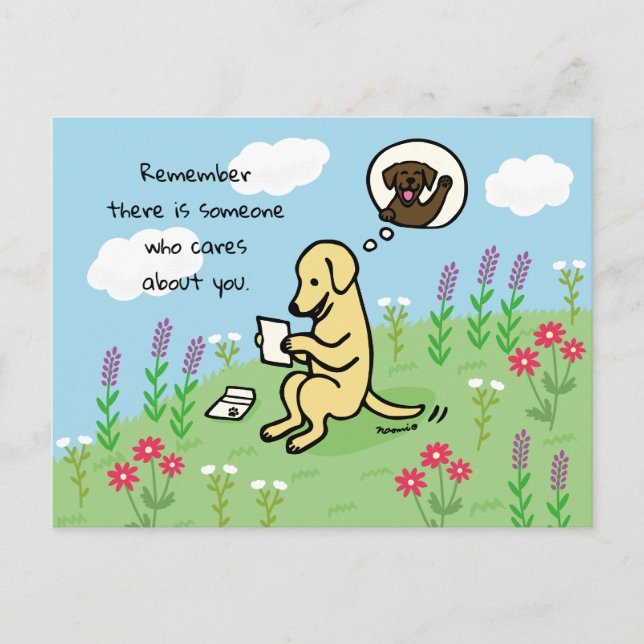 Yellow Labrador and Letter Someone Cares Postcard (Front)