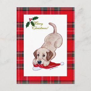 Yellow Labrador Christmas Santa Hat Tartan Holiday Postcard
