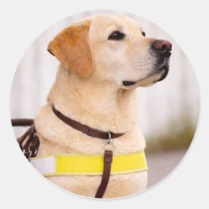 Yellow Labrador Guide Dog Graduation Envelope Seal