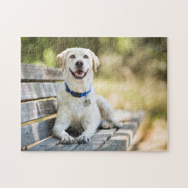 Yellow Labrador Lays On Bench Jigsaw Puzzle (Horizontal)