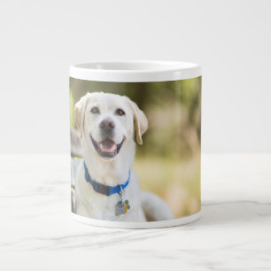 Yellow Labrador Lays On Bench Large Coffee Mug