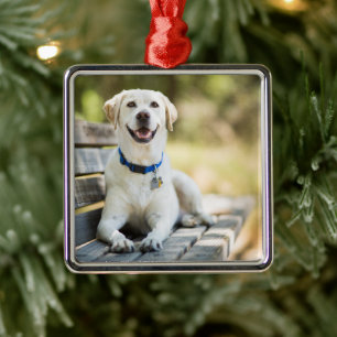 Yellow Labrador Lays On Bench Metal Ornament