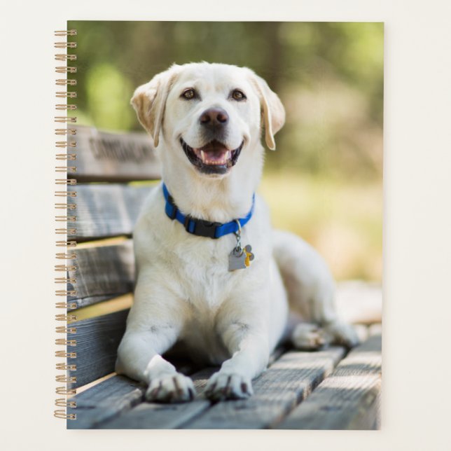 Yellow Labrador Lays On Bench Planner (Front)