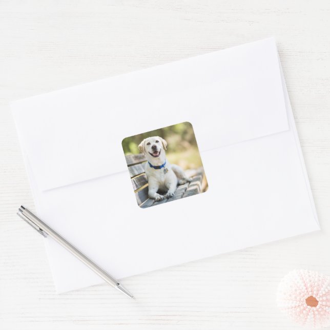 Yellow Labrador Lays On Bench Square Sticker (Envelope)