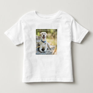 Yellow Labrador Lays On Bench Toddler T-Shirt