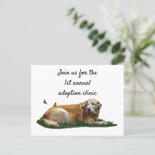 Yellow Labrador Mixed Breed Dog Postcard