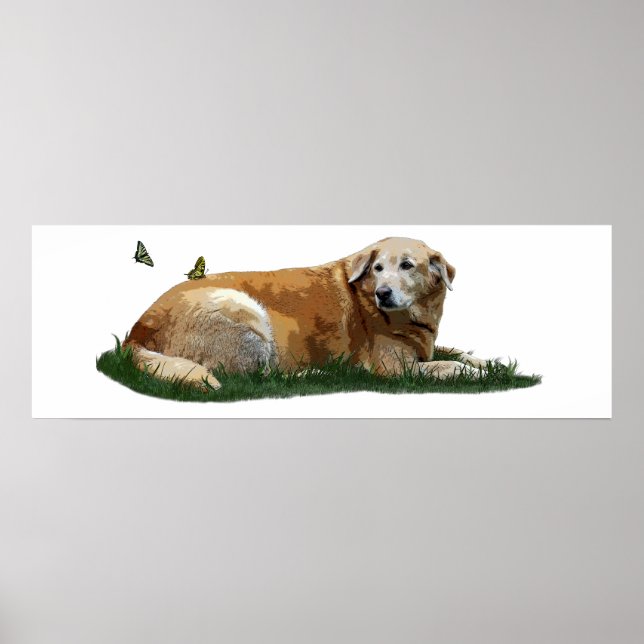 Yellow Labrador Mixed Breed Dog Poster (Front)