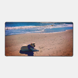 Yellow Labrador on a Sandy Beach Cool  Desk Mat