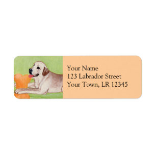 Yellow Labrador on the green couch Return Address Label