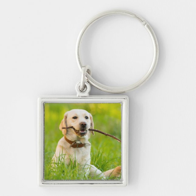 Yellow Labrador Plays Fetch With Stick Key Ring (Front)