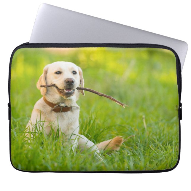 Yellow Labrador Plays Fetch With Stick Laptop Sleeve (Front)