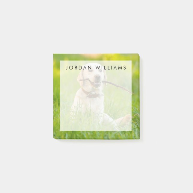 Yellow Labrador Plays Fetch With Stick Post-it Notes (Front)