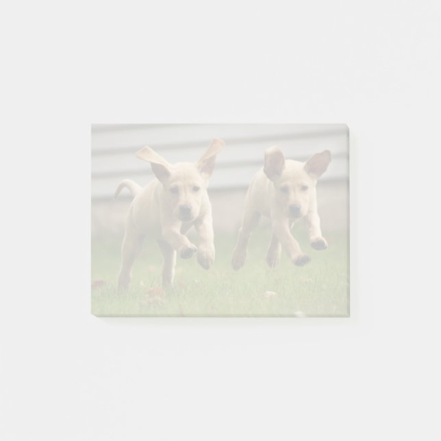Yellow Labrador Puppies Running Post-it Notes (Front)