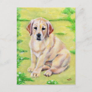 Yellow Labrador Puppy Postcard