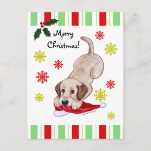 Yellow Labrador Puppy & Santa Hat Christmas Holiday Postcard