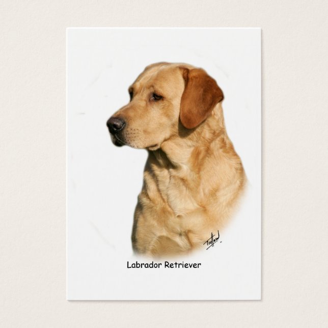 Yellow Labrador Retriever (Front)