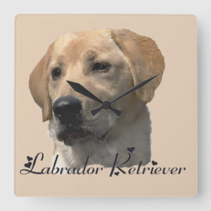 Yellow Labrador Retriever Art Gifts Square Wall Clock