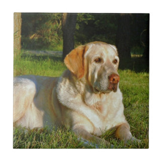 Yellow Labrador Retriever Ceramic Tile