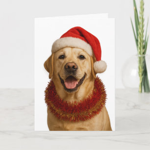 Yellow Labrador Retriever Christmas card