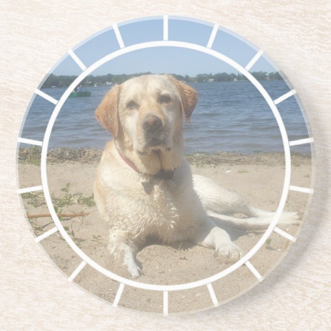 Yellow Labrador Retriever Dog Coaster (Front)