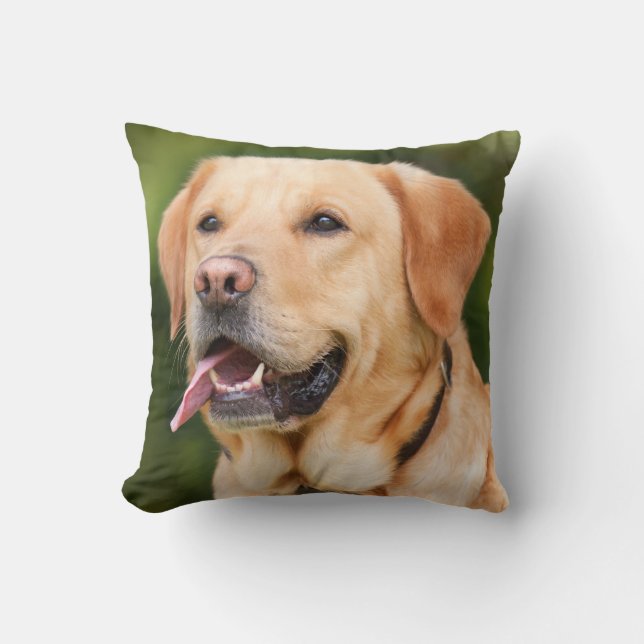 Yellow Labrador Retriever Dog - Lab Cushion (Front)
