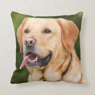 Yellow Labrador Retriever Dog - Lab Cushion