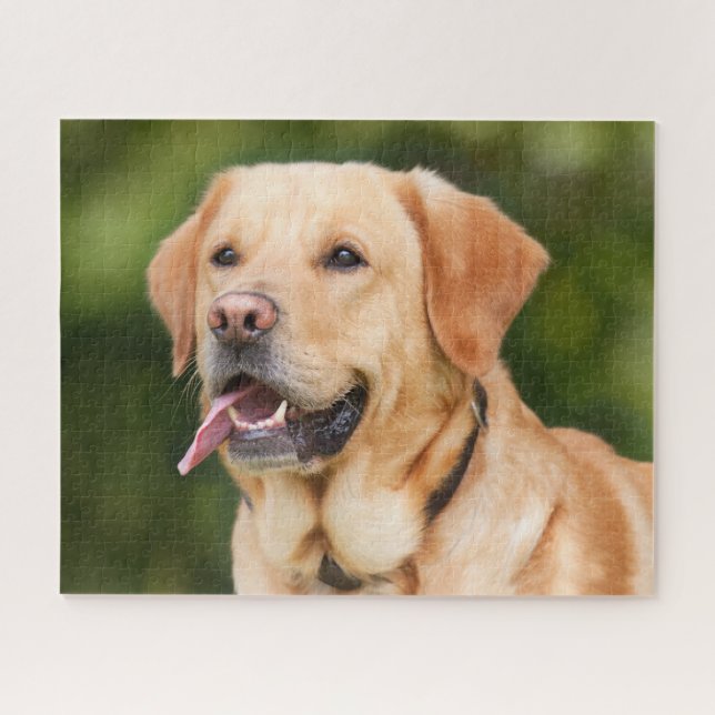 Yellow Labrador Retriever Dog - Lab Jigsaw Puzzle (Horizontal)