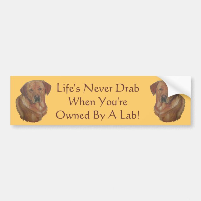 yellow labrador retriever dog portrait art slogan bumper sticker (Front)