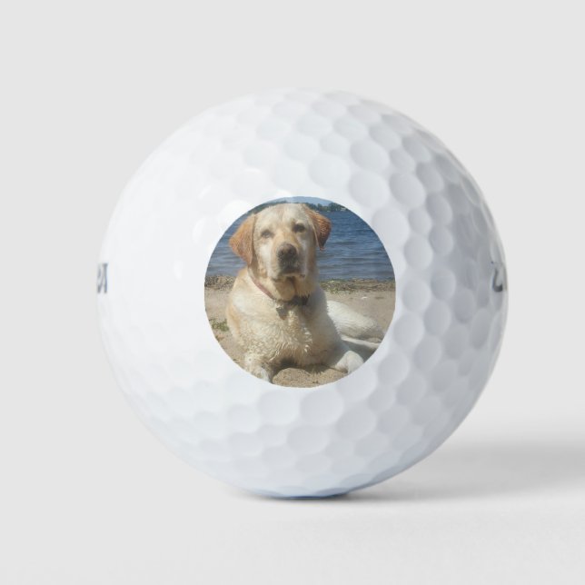 Yellow Labrador Retriever Golf Balls (Front)
