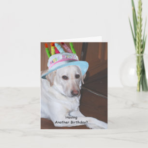 Yellow Labrador Retriever in Birthday Hat Card