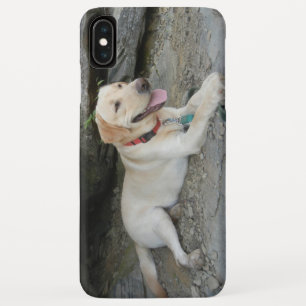 Yellow Labrador Retriever iPhone X Case