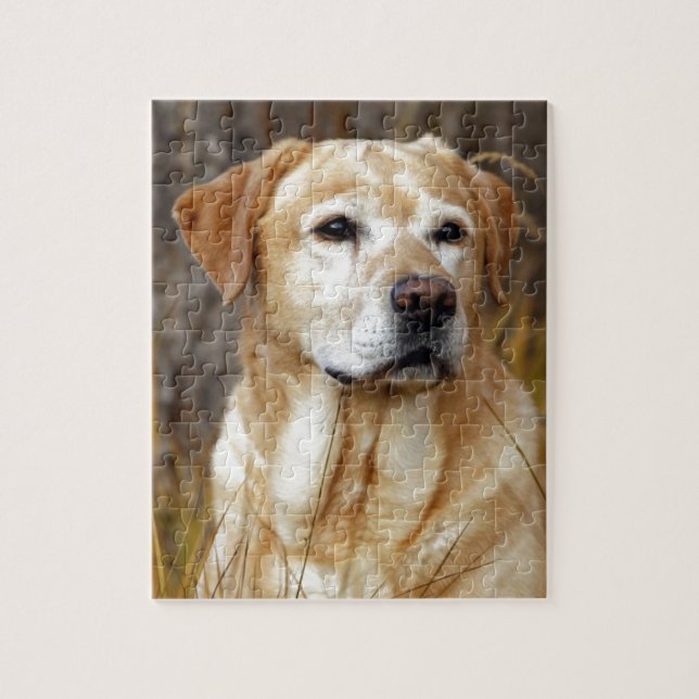 yellow labrador retriever jigsaw puzzle (Vertical)
