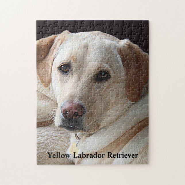 Yellow Labrador Retriever Jigsaw Puzzle (Vertical)