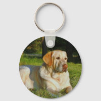 Yellow Labrador Retriever