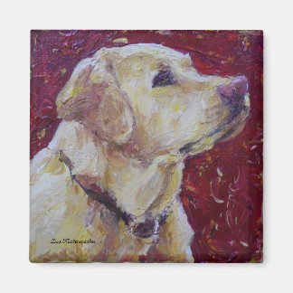 Yellow Labrador Retriever Magnet