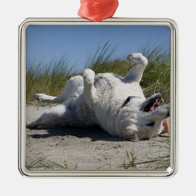 Yellow Labrador Retriever Metal Tree Decoration (Front)