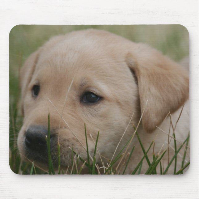 Yellow Labrador Retriever mouse pad (Front)
