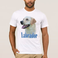 Yellow Labrador Retriever Name