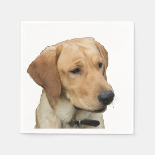 Yellow Labrador Retriever Napkin