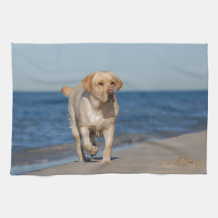 Yellow labrador retriever on the beach tea towel