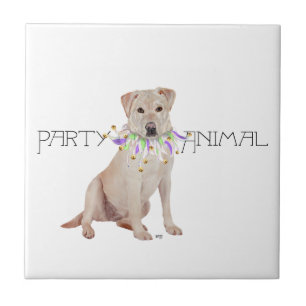 Yellow Labrador Retriever Party Tile
