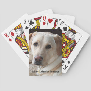 Yellow Labrador Retriever Playing Cards