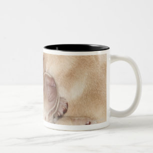 Yellow Labrador Retriever puppies, 10 days old Two-Tone Coffee Mug