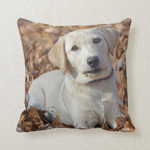 Yellow Labrador Retriever Puppy Cushion