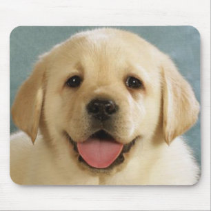 Yellow Labrador Retriever Puppy Dog Love Mouse Pad