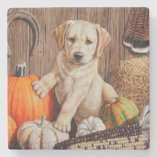 Yellow Labrador Retriever Puppy Dog Pumpkin Autumn Stone Coaster