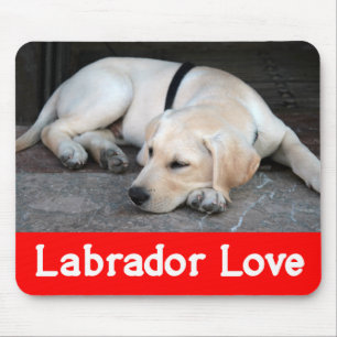 Yellow Labrador Retriever Puppy Dog - Yellow Lab Mouse Pad