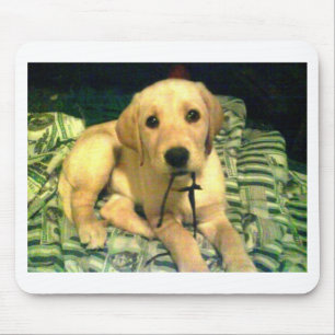 yellow labrador retriever puppy mouse pad